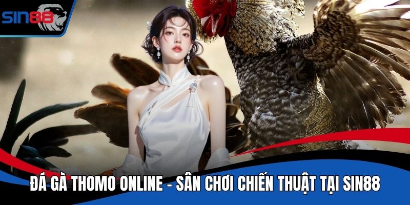 Đá Gà Thomo Online