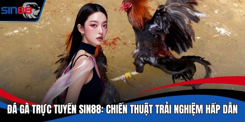 Đá Gà Trực Tuyến SIN88