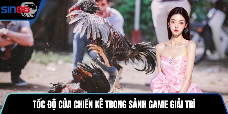Tốc độ của chiến kê trong sảnh game giải trí